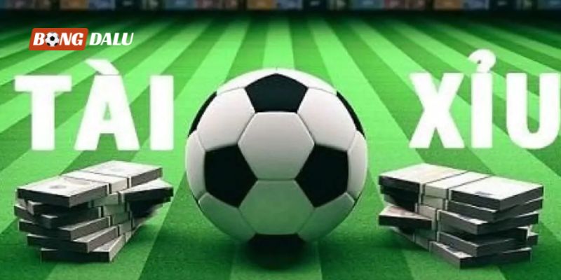 Cá độ tài xỉu bóng đá trực tuyến cực hot hàng đầu Việt Nam