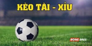 Cá độ tài xỉu bóng đá là gì? Làm sao để chơi tài xỉu luôn ăn cược?