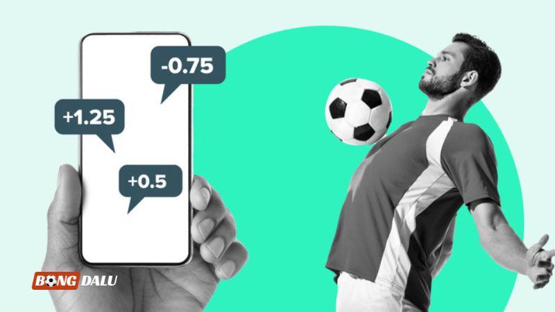 Đọc hiểu các loại kèo