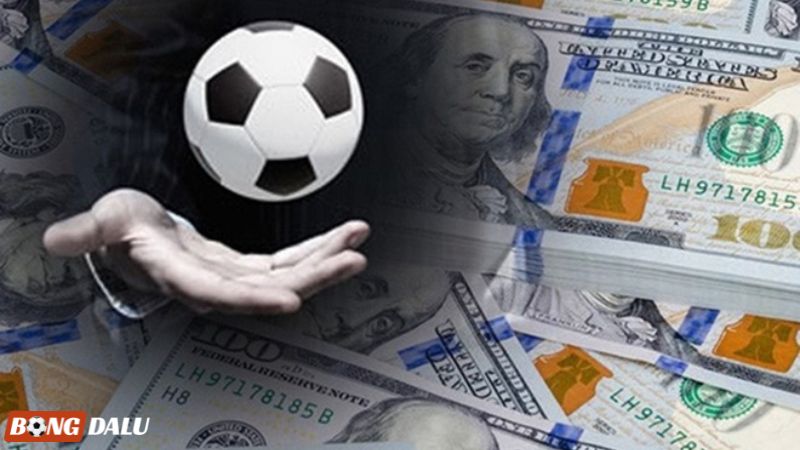 Đọc và phân tích tỷ lệ cược là bí quyết cá độ bóng đá