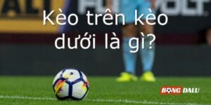 Kèo trên kèo dưới là gì? Mẹo đọc kèo đơn giản dành cho người mới