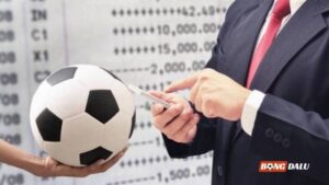 Giải Mã Lý Do Vì Sao Cá Cược Bóng Đá Chỉ Có Thua?