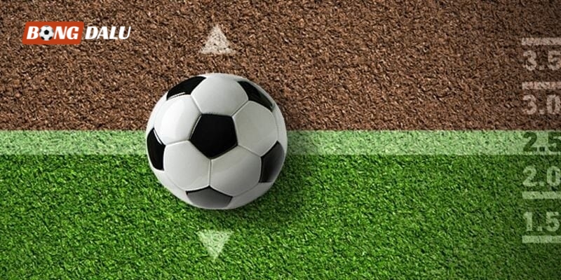 Cá cược Tài Xỉu bóng đá được nhiều người quan tâm tìm hiểu