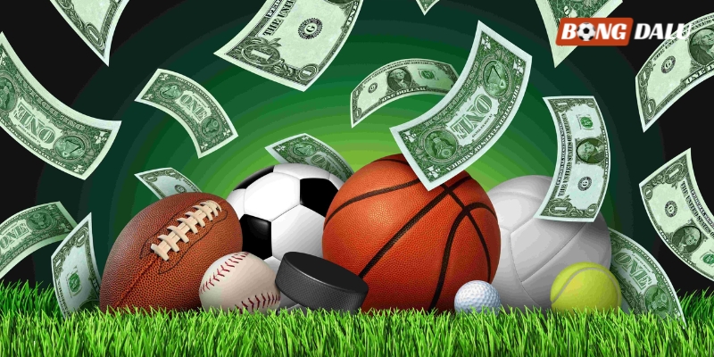 Hệ thống mang đến dịch vụ đẳng cấp bậc nhất