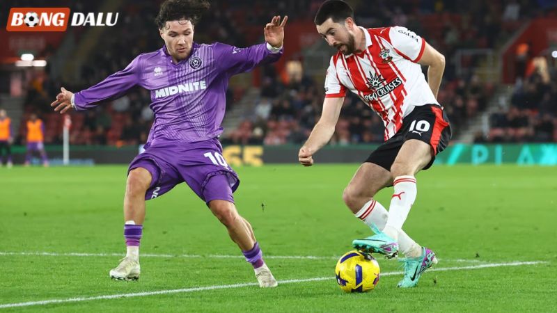 Kèo 1/2 (0.5) là gì? Hiểu rõ cơ chế và tâm lý khi đặt cược