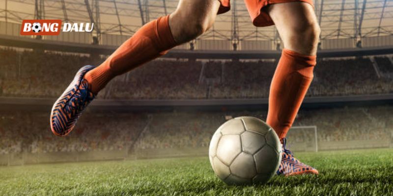 Phân biệt handicap, Tài xỉu và kèo châu Âu sao cho đúng?